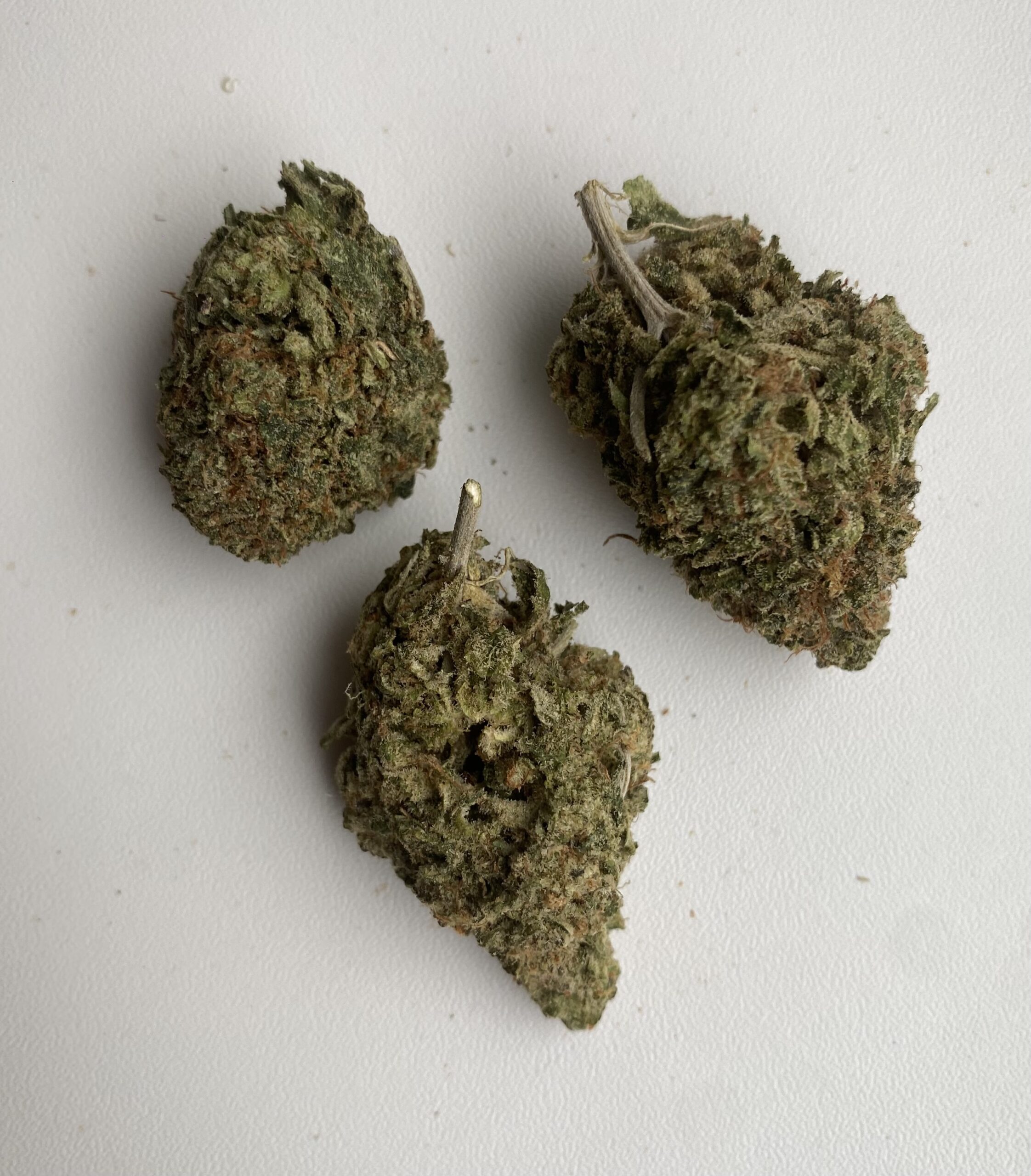 IMG_8185