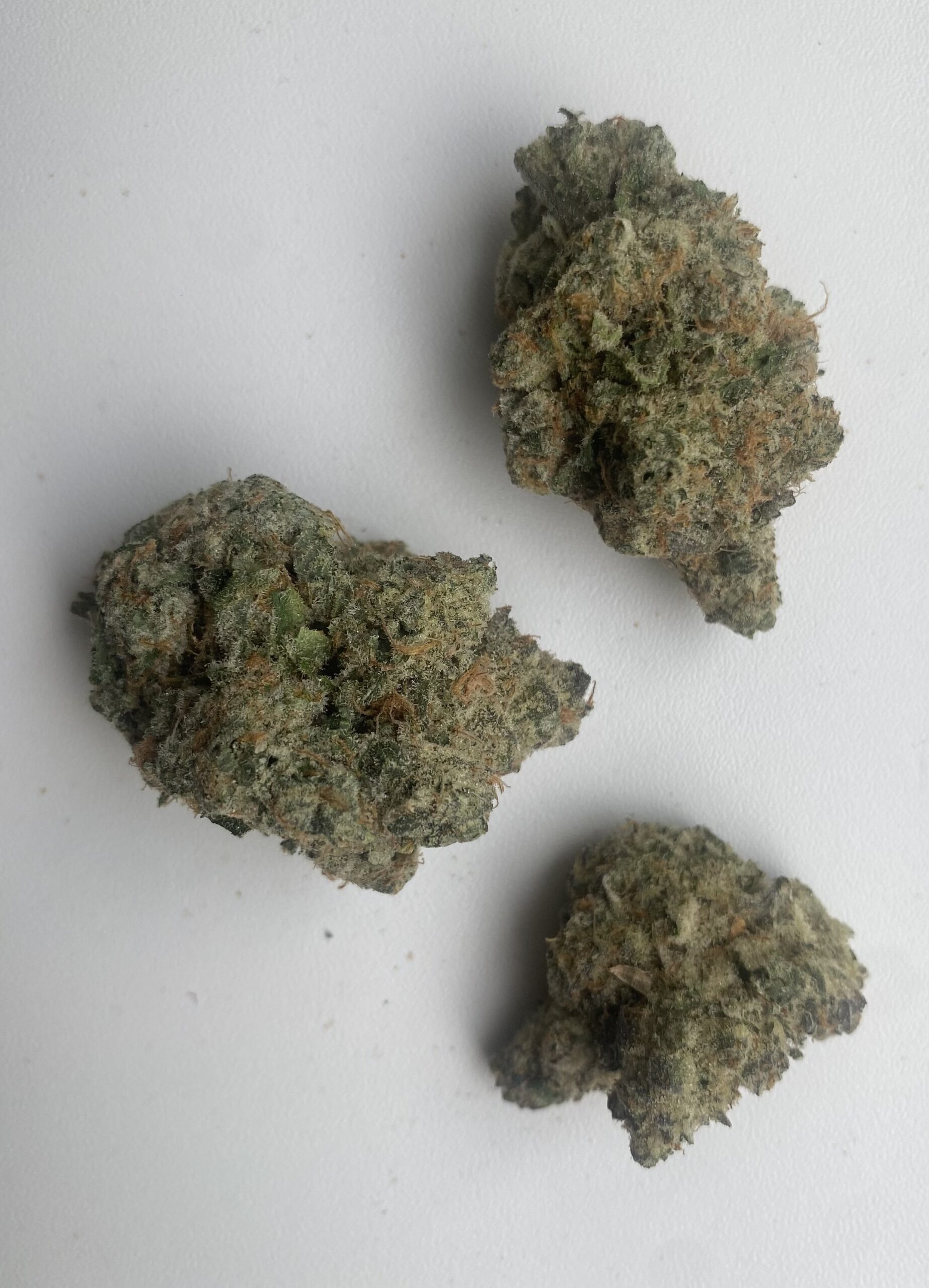 IMG_0241